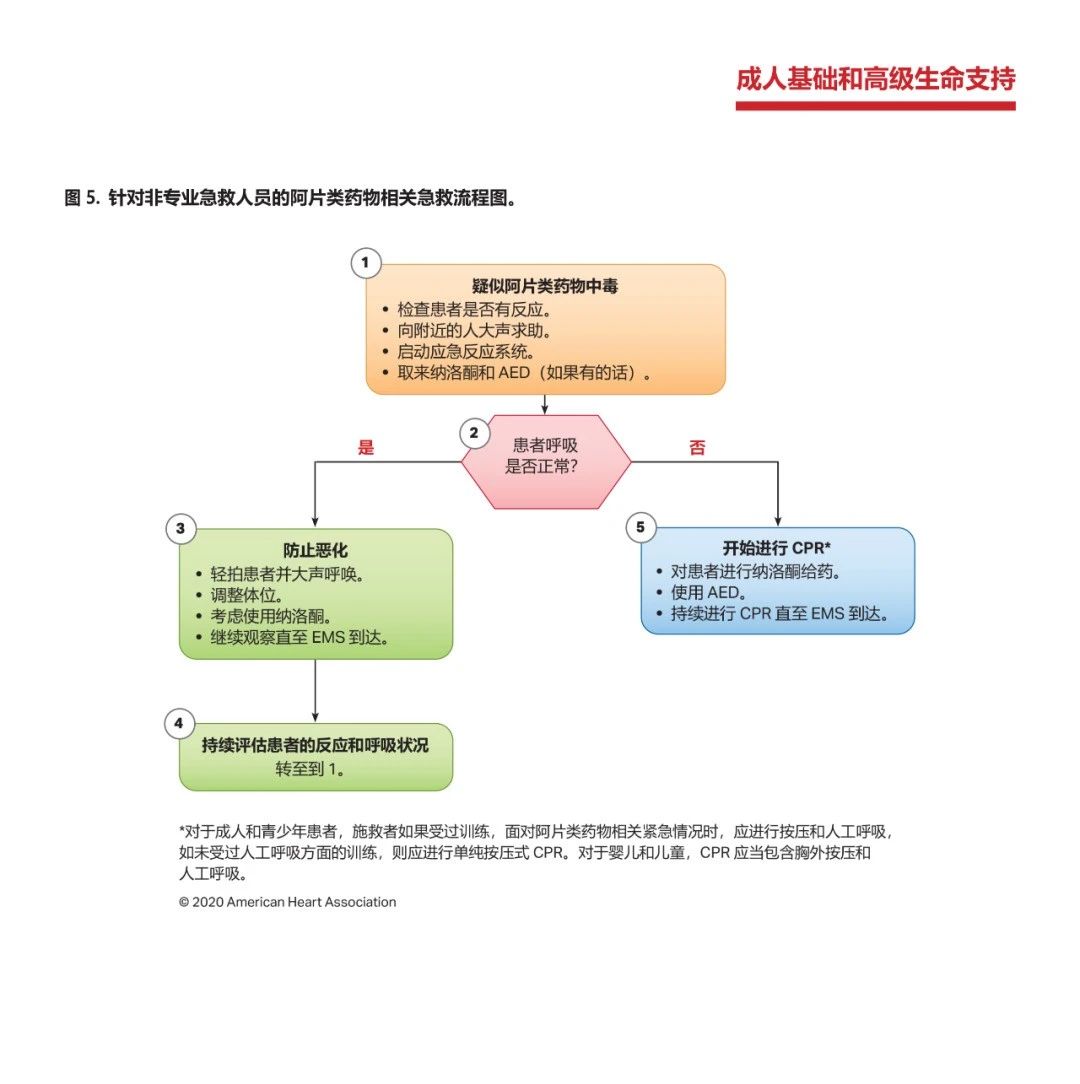 心肺复苏机