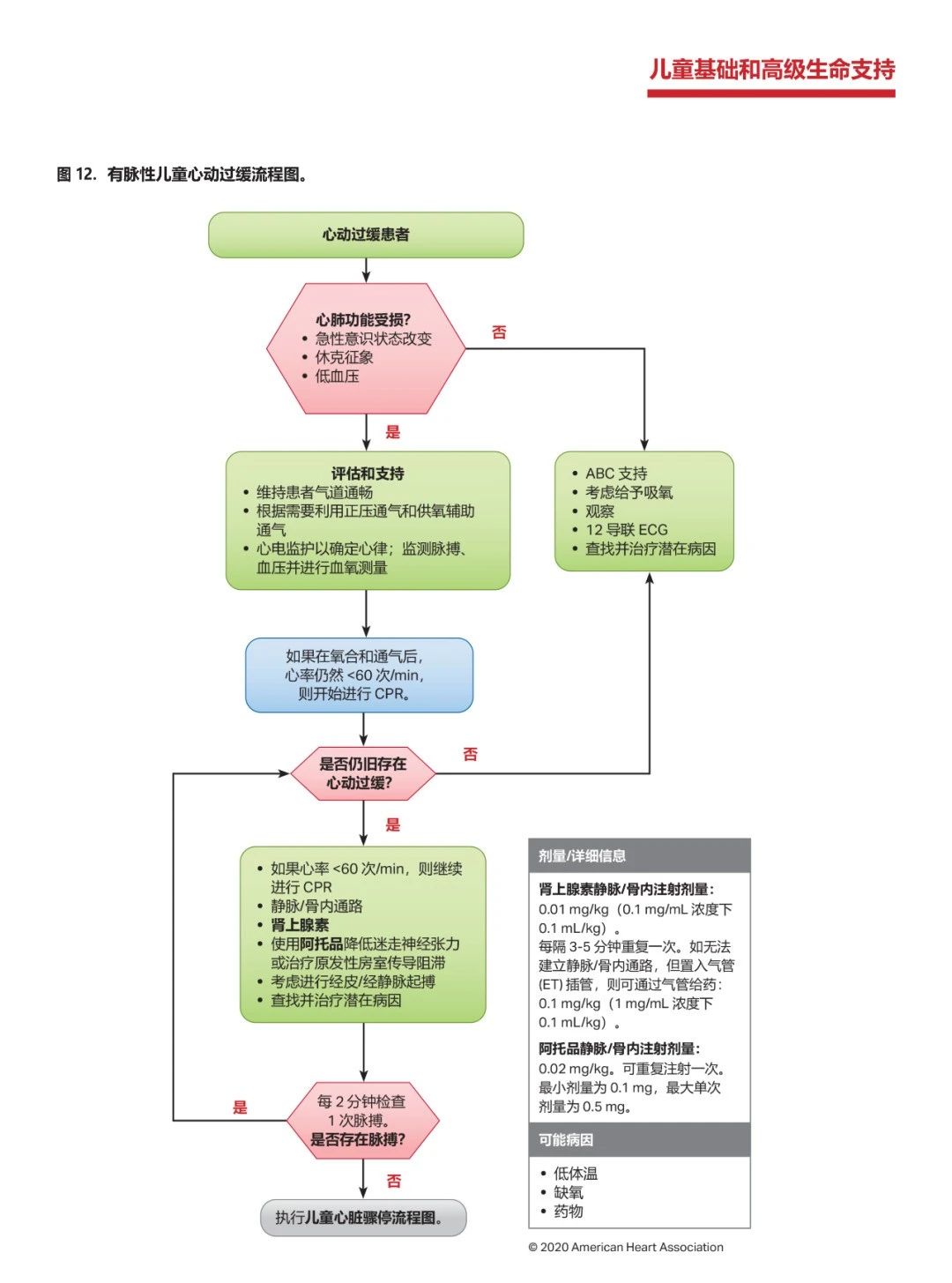 心肺复苏机