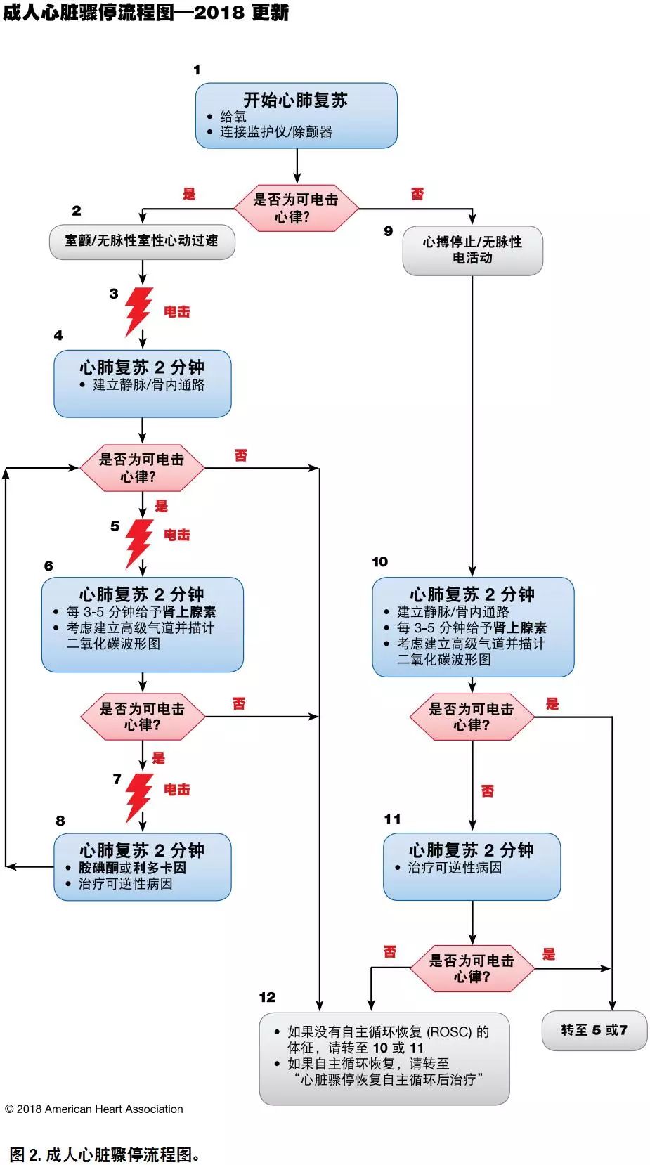 心肺复苏机