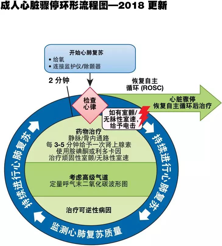 心肺复苏机 心肺复苏机