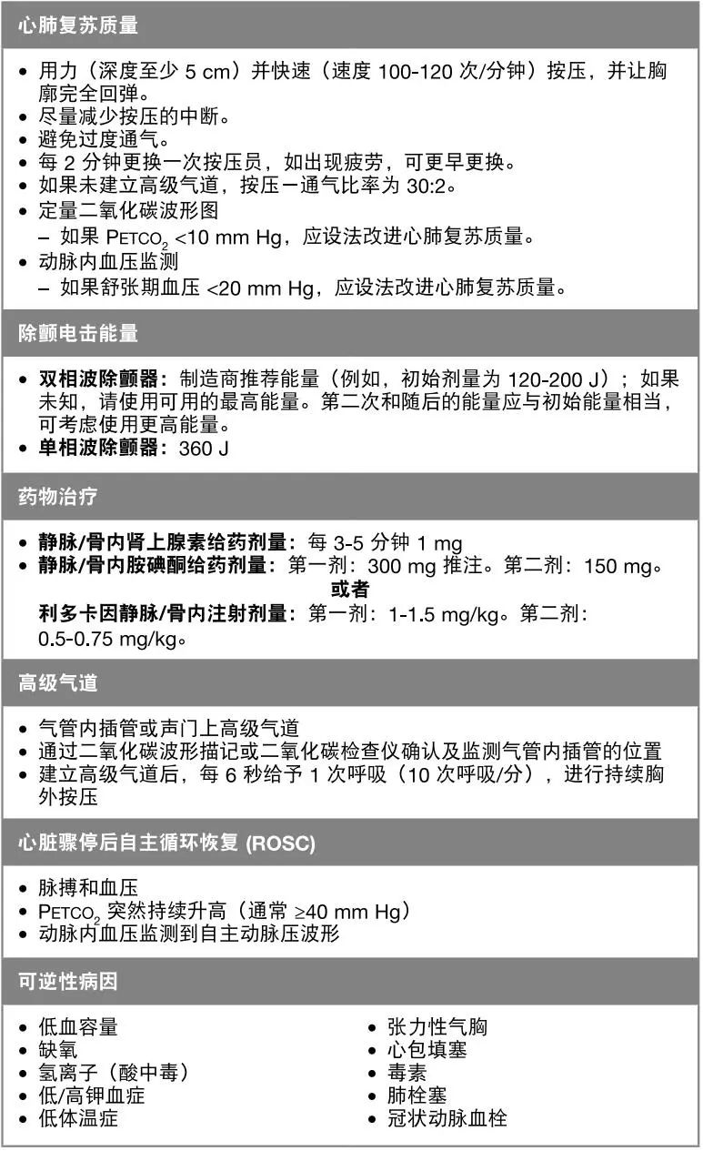 心肺复苏机 心肺复苏机