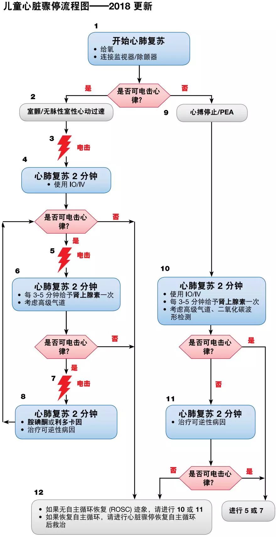 心肺复苏机