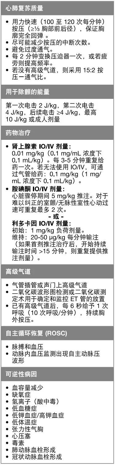 心肺复苏机 心肺复苏机