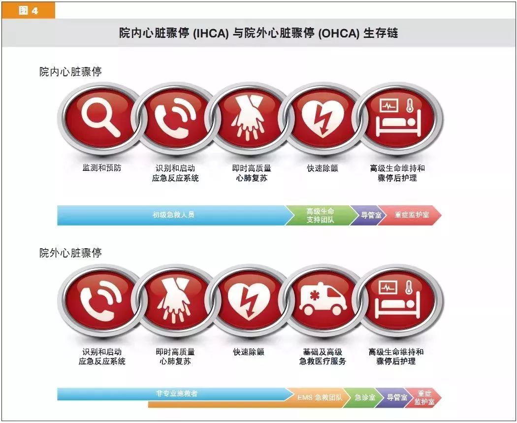 心肺复苏机 心肺复苏机