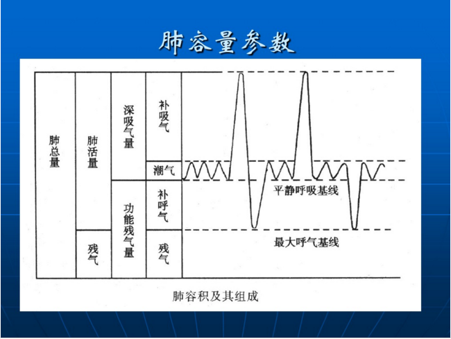 肺功能图片.png